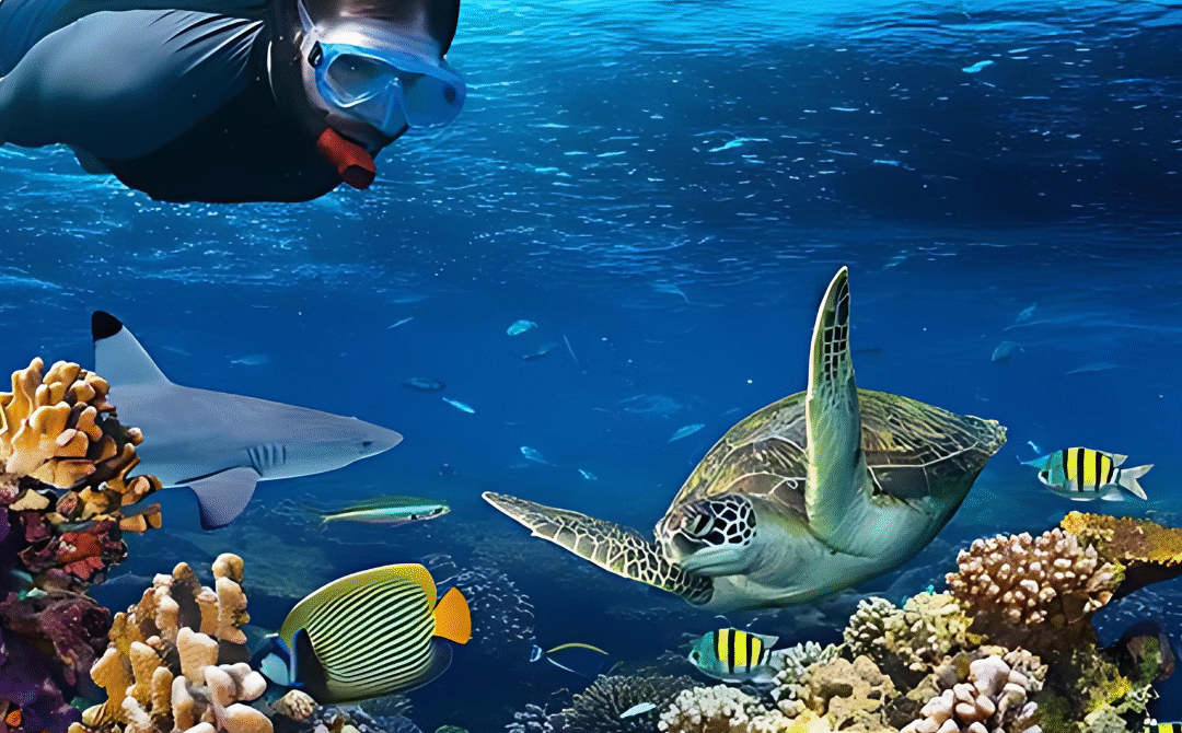 Discover the Best Snorkeling Spots in Hurghada