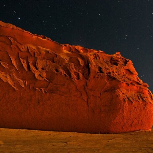 Wadi Al-Hitan during a Cairo to Fayoum and Valley of the